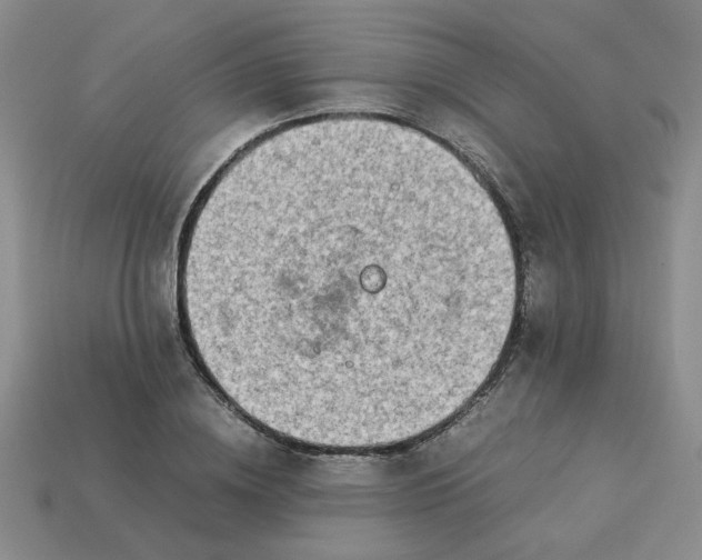 X0000113990836200910161645