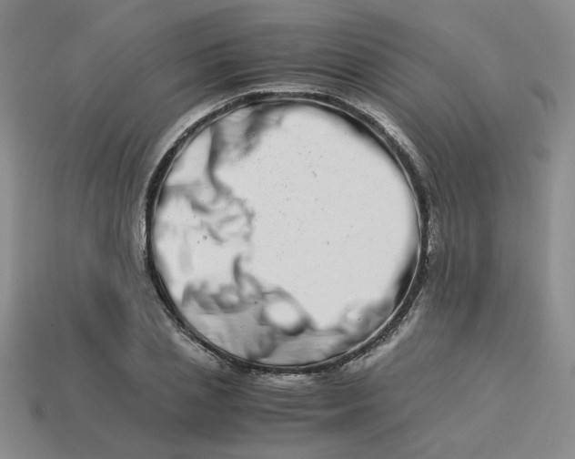 X0000113990837200910161645