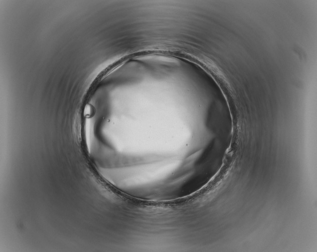 X0000113990838200910161645