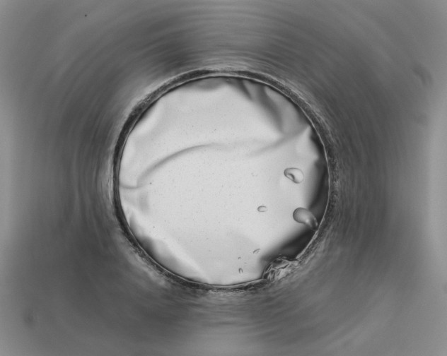 X0000113990840200910161645