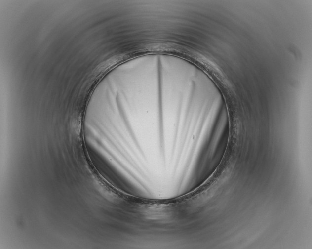 X0000113990841200910161645