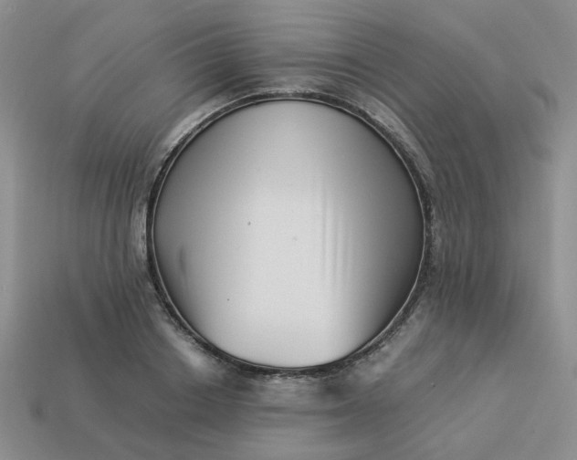 X0000113990842200910161645