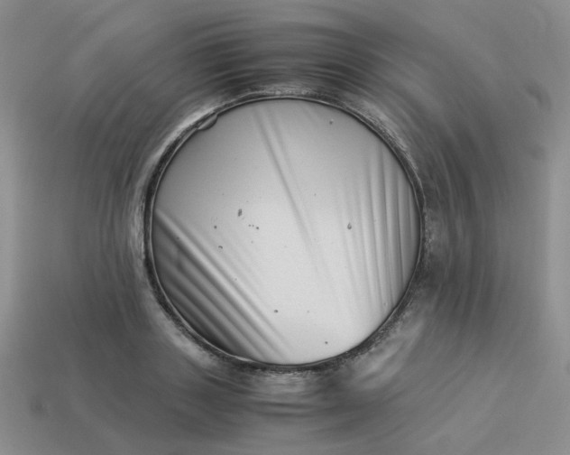 X0000113990843200910161645