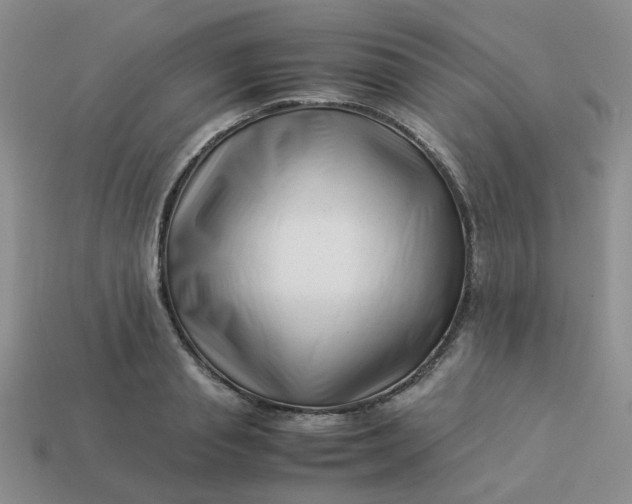 X0000113990845200910161645