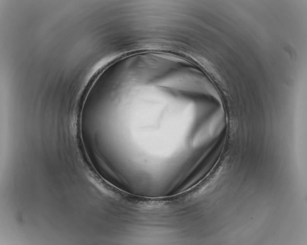 X0000113990846200910161645