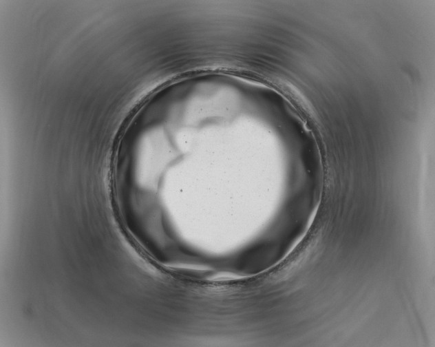 X0000113990847200910161645