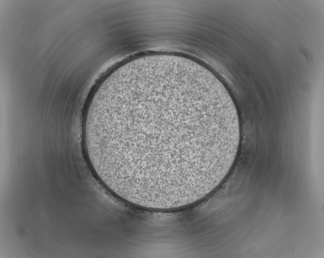 X0000113990848200910161645