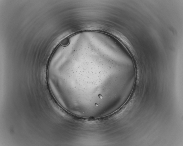 X0000113990850200910161645