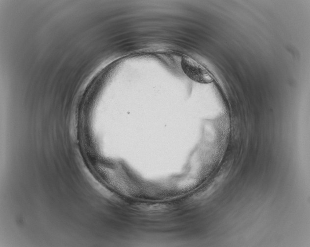 X0000113990851200910161645