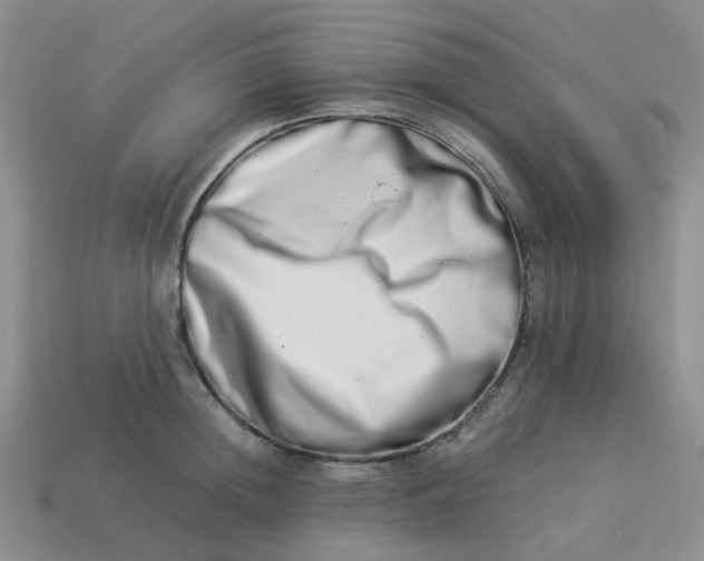 X0000113990852200910161645