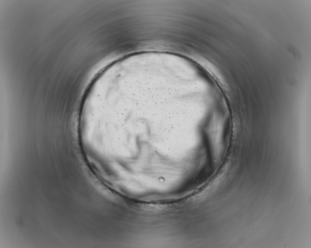 X0000113990854200910161645