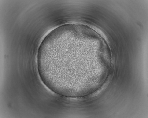 X0000113990855200910161645