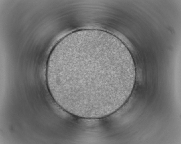 X0000113990856200910161645