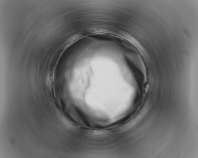 X0000113990857200910161645