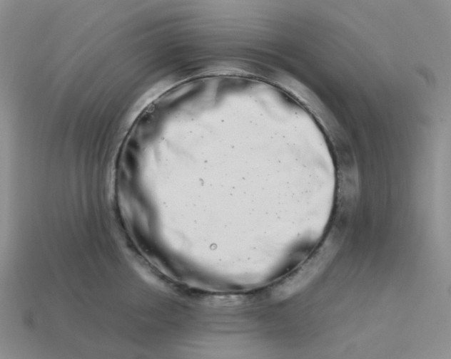 X0000113990858200910161645