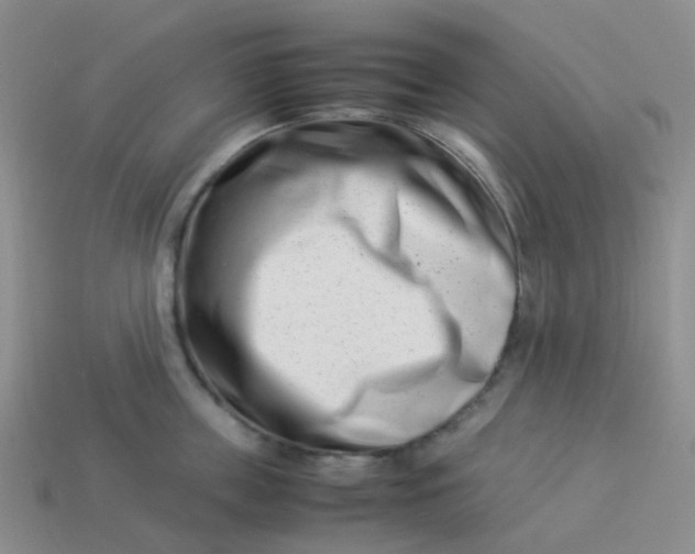 X0000113990859200910161645