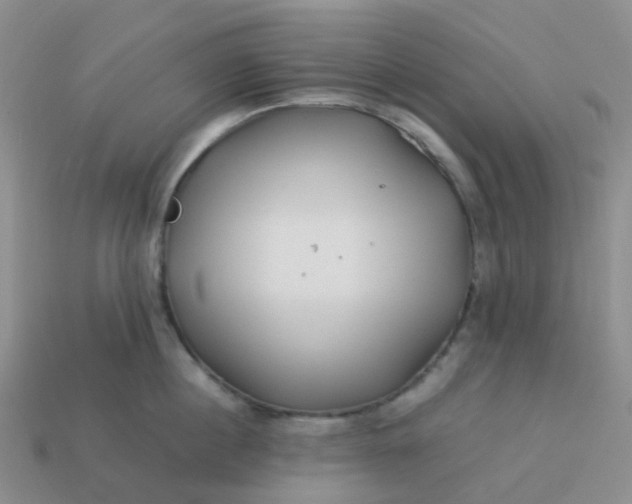 X0000113990860200910161645