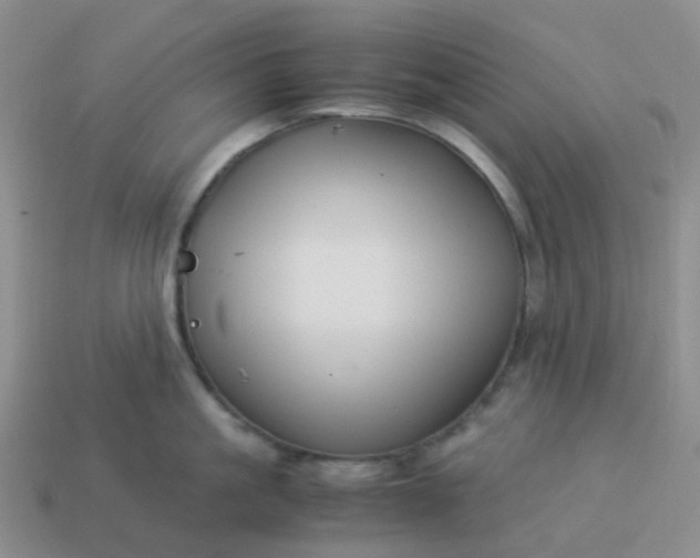 X0000113990861200910161645