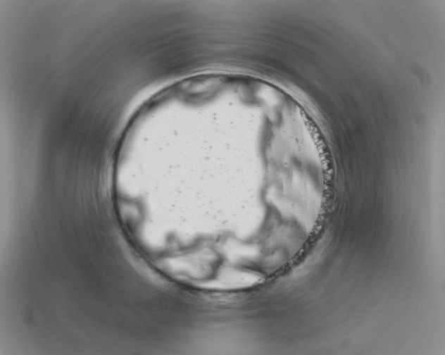 X0000113990862200910161645