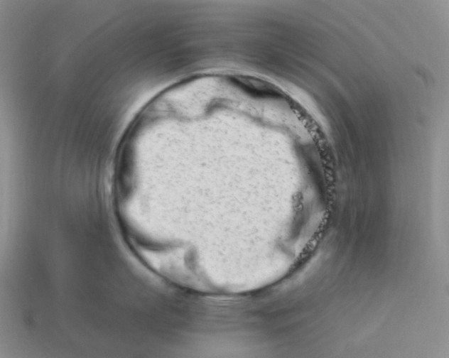 X0000113990863200910161645