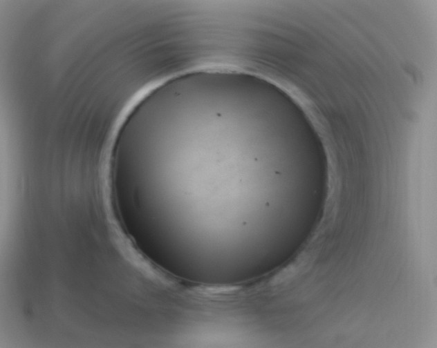 X0000113990864200910161645