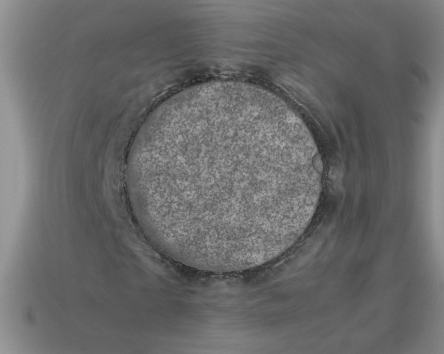 X0000113990865200910161644