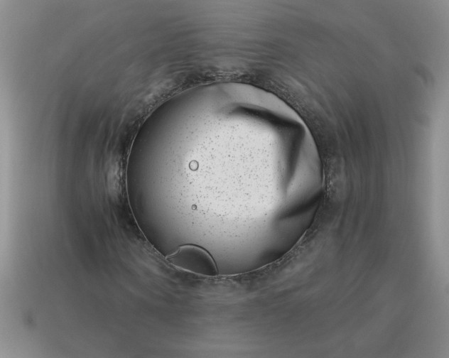 X0000113990866200910161644