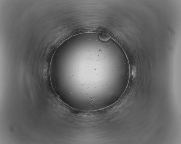 X0000113990867200910161644