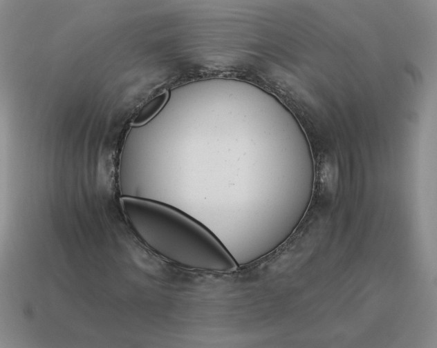 X0000113990868200910161644