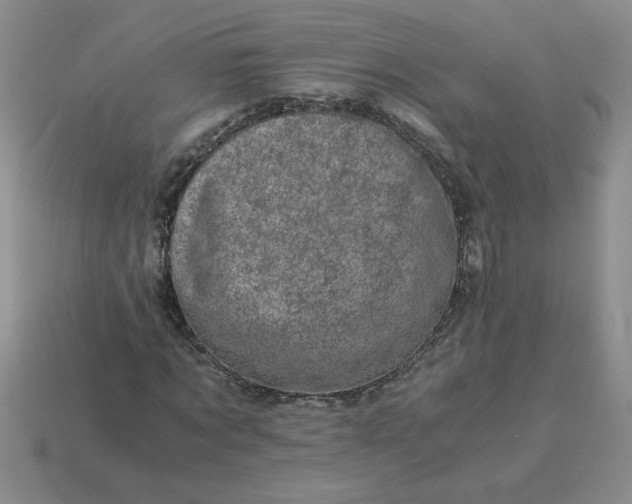 X0000113990869200910161644