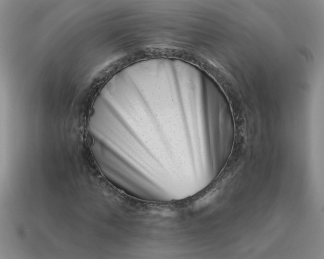 X0000113990870200910161644