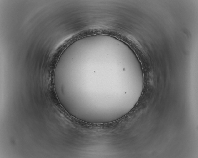 X0000113990872200910161644