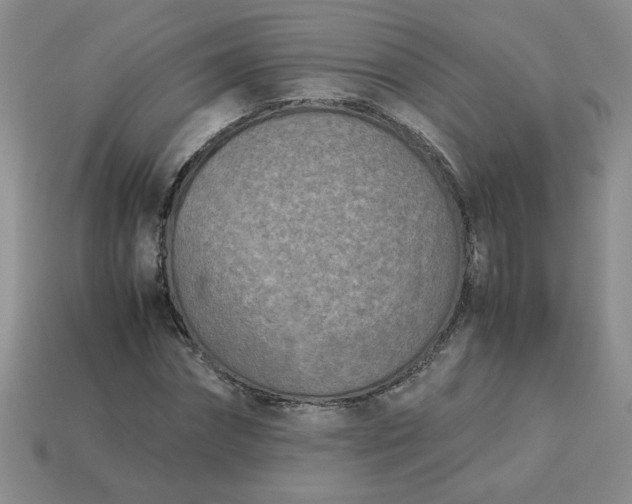 X0000113990874200910161644