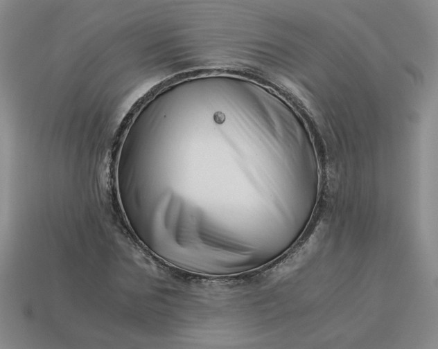 X0000113990875200910161644