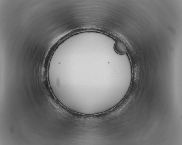 X0000113990876200910161644