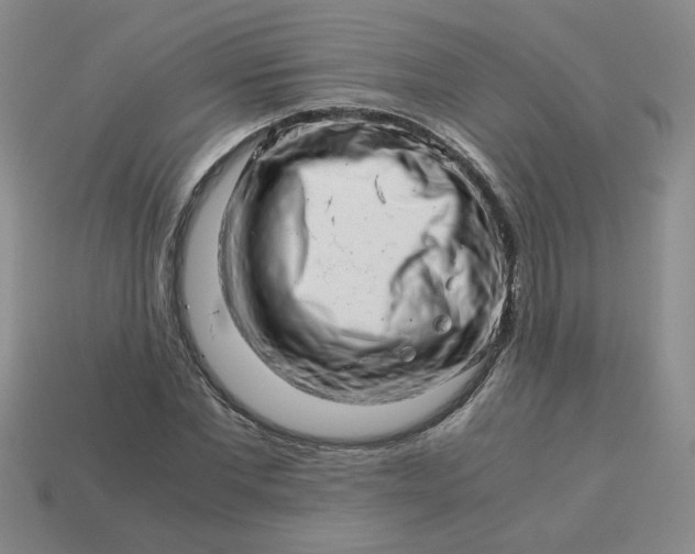 X0000113990877200910161644