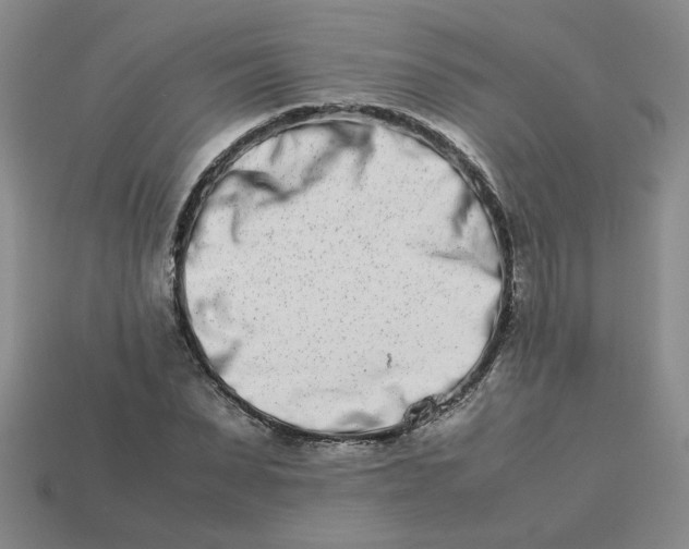 X0000113990879200910161644