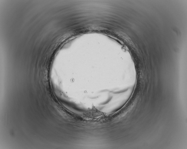 X0000113990881200910161644