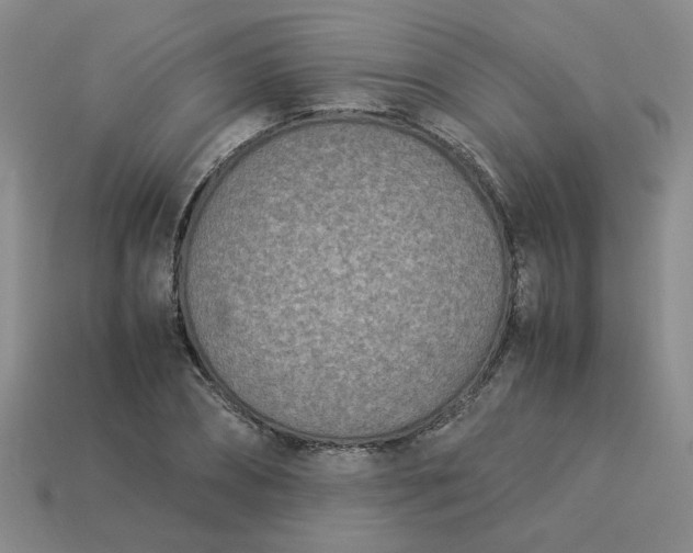 X0000113990882200910161644