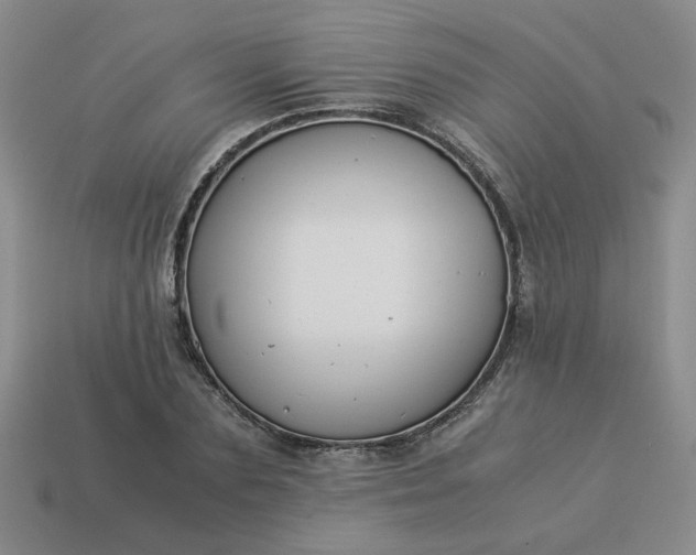 X0000113990883200910161644