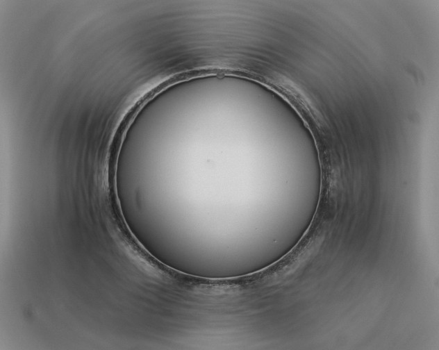 X0000113990884200910161644