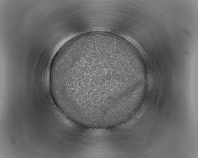 X0000113990886200910161644