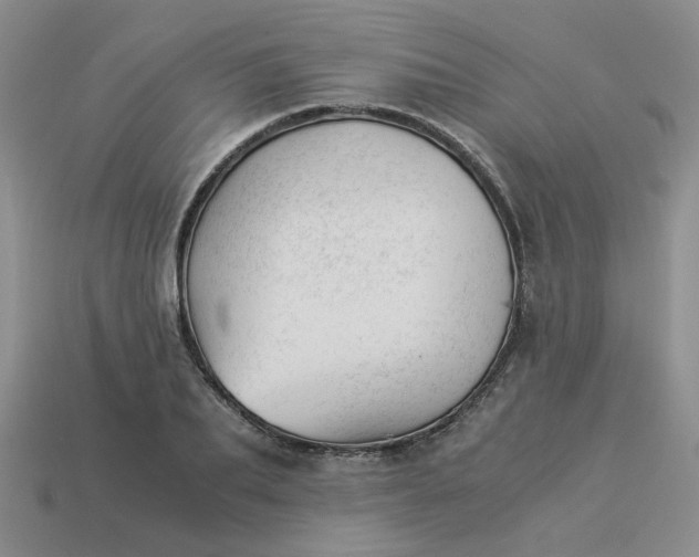 X0000113990887200910161644