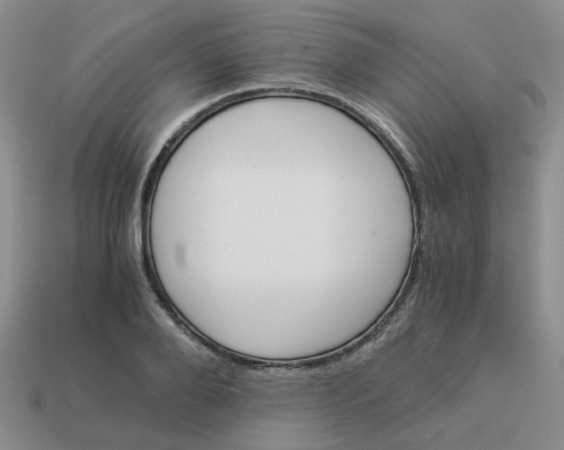 X0000113990888200910161644