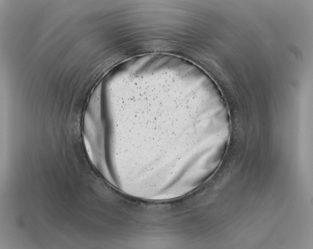 X0000113990889200910161644