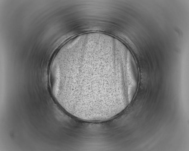 X0000113990890200910161644