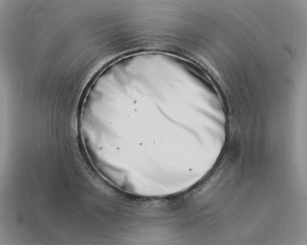 X0000113990891200910161644