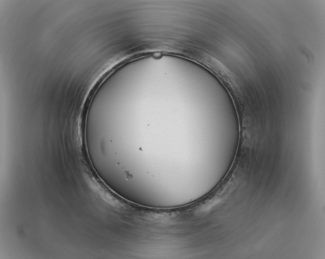 X0000113990892200910161644