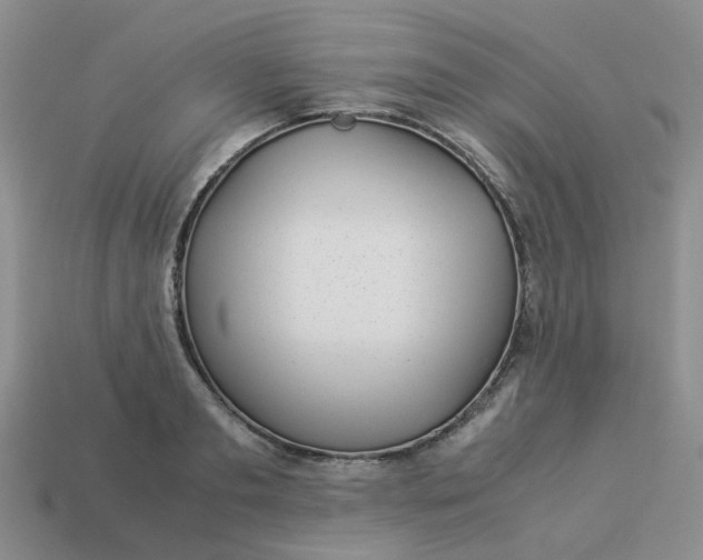 X0000113990893200910161644