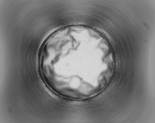 X0000113990894200910161644